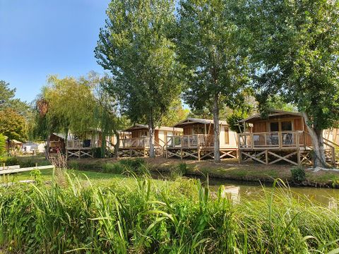 Flower Camping Le Nauzan Plage  - Camping Charente-Maritime - Image N°13