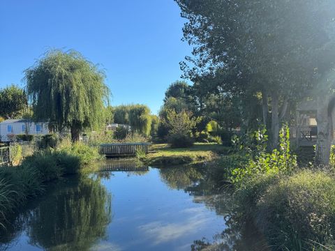 Flower Camping Le Nauzan Plage  - Camping Charente-Maritime - Image N°41