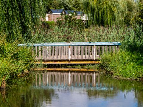 Flower Camping Le Nauzan Plage  - Camping Charente-Maritime - Image N°51