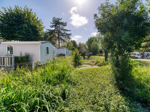 Flower Camping Le Nauzan Plage  - Camping Charente-Maritime - Image N°63