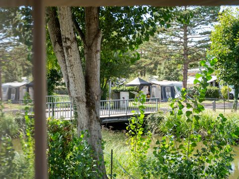 Flower Camping Le Nauzan Plage  - Camping Charente-Maritime - Image N°42
