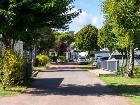 Flower Camping Le Nauzan Plage  - Camping Charente-Maritime - Image N°49