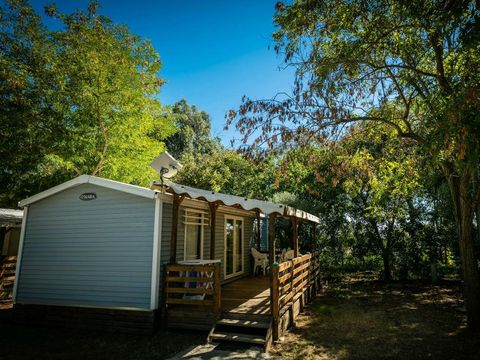 MOBILHOME 6 personnes - Mobil-Home LAVANDE Confort 29m² (2 chambres) - terrasse couverte 16m² - TV + Climatisation 4/6 pers