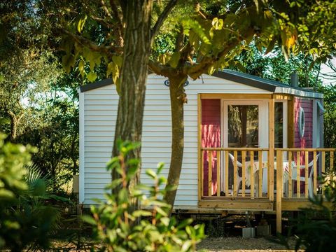 MOBILHOME 4 personnes - Mobil-Home OLIVIER Confort 29m² (2 chambres) - terrasse 9 m²+ TV + Climatisation 4 pers