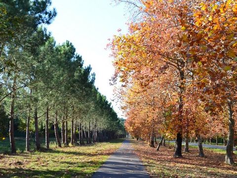 Camping Les Peupliers - Camping Gironde - Image N°26