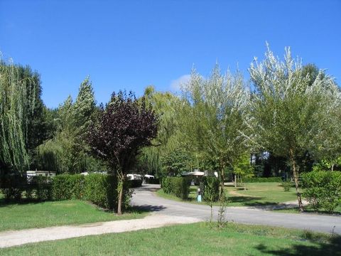 Emplacement - Emplacement Nature : véhicule + tente ou caravane ou camping-car