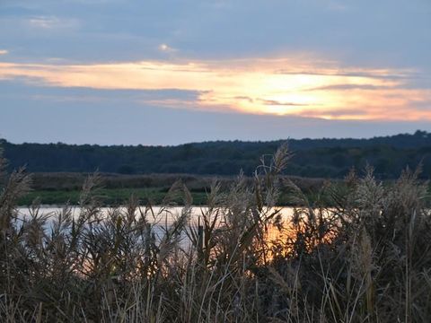 Camping Les Peupliers - Camping Gironde - Image N°35