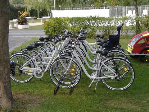Camping Les Peupliers - Camping Gironde - Image N°11
