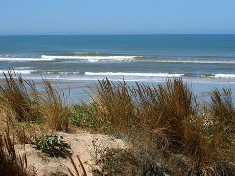 Camping Les Peupliers - Camping Gironde - Image N°25