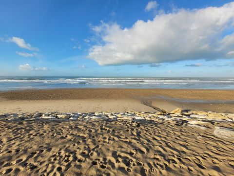 Camping Les Peupliers - Camping Gironde - Image N°44