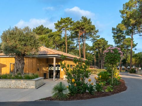 Camping Club Médoc Plage 4* - MS VACANCES - Camping Gironde - Image N°38