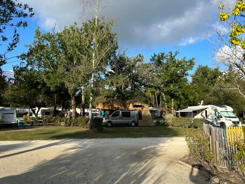 Camping Paradis Le Tastesoule - Camping Gironde - Image N°28