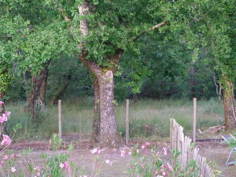 Camping Paradis Le Tastesoule - Camping Gironde - Image N°47