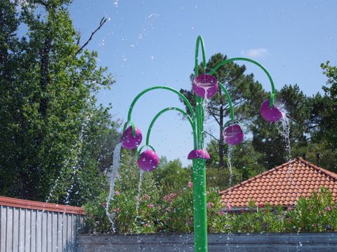 Camping Paradis Le Tastesoule - Camping Gironde - Image N°5