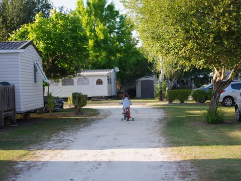 Camping Paradis Le Tastesoule - Camping Gironde - Image N°40