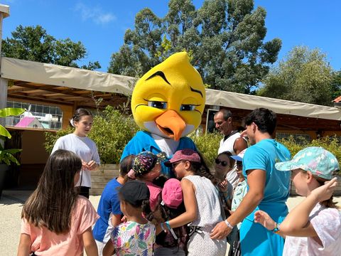 Camping Paradis Le Tastesoule - Camping Gironde - Image N°48