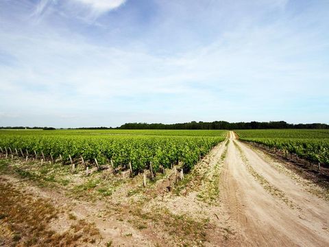 Camping Ushuaïa villages la Chesnays - Camping Gironde - Image N°46