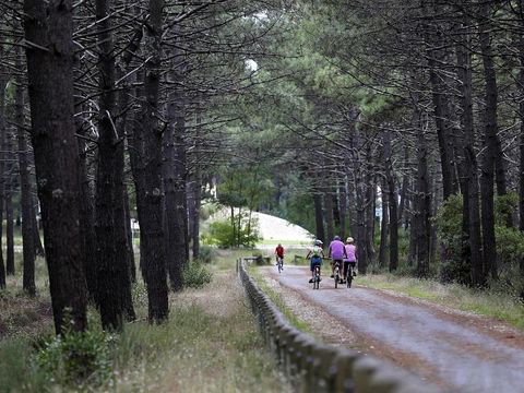 Camping Ushuaïa villages la Chesnays - Camping Gironde - Image N°41