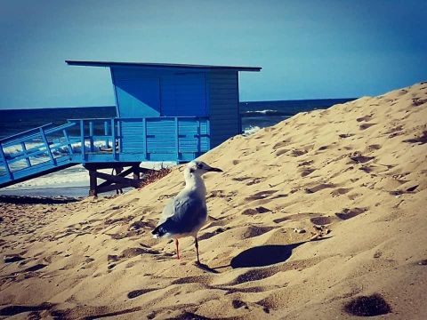 Camping Ushuaïa villages la Chesnays - Camping Gironde - Image N°29
