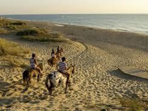 Camping Ushuaïa villages la Chesnays - Camping Gironde - Image N°49