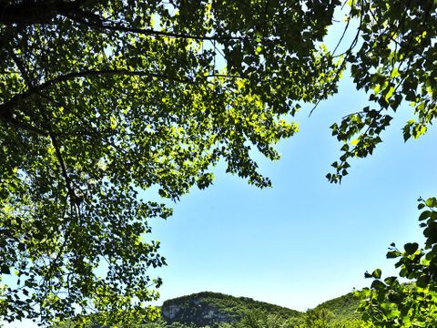 Camping Les Granges - Camping Lot - Image N°29