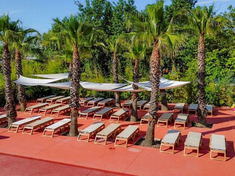 Camping la Plage et du Bord de Mer - Camping Hérault - Image N°6