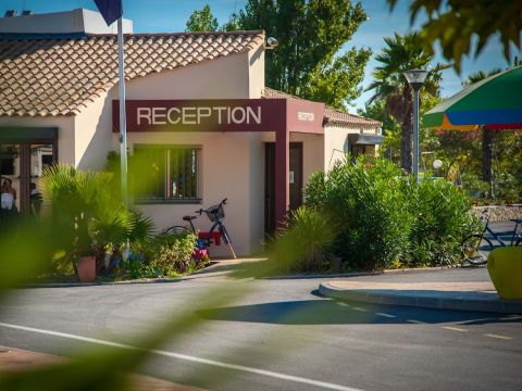 Camping la Plage et du Bord de Mer - Camping Hérault - Image N°22