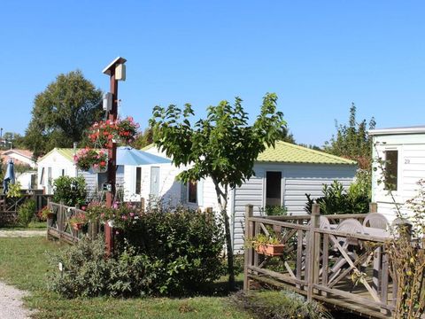 Camping Le Pontis - Camping Dordogne - Image N°23