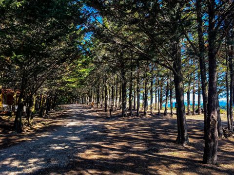 Camping le Matin Calme - Camping Drome - Image N°2
