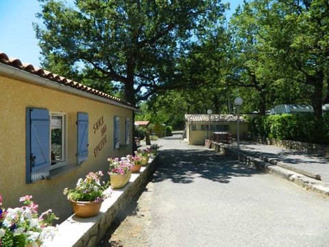 Camping Les Chênes - Camping Ardèche - Image N°8