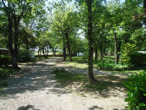 Camping Les Chênes - Camping Ardèche - Image N°16