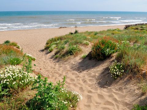 Camping L'Occitan - Camping Hérault - Image N°31