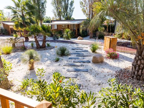 Camping Club Le Napoléon  - Camping Hérault - Image N°13