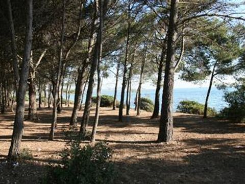 Flower Camping Altea - Camping Hérault - Image N°67