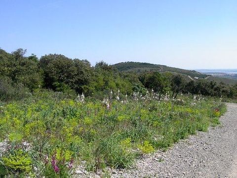 Flower Camping Altea - Camping Hérault - Image N°54