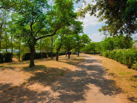 Camping Mas des Roses - Camping Hérault