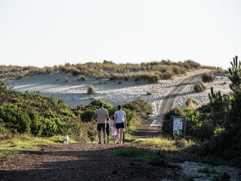 Camping Campeole Les Tourterelles - Camping Landes - Image N°28