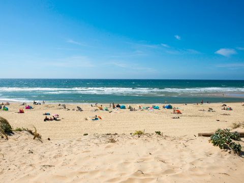 Camping Les Tourterelles - MS Vacances - Camping Landes - Image N°40