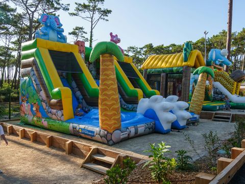 Camping Campeole Les Tourterelles - Camping Landes - Image N°11