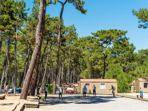Camping Campeole Les Tourterelles - Camping Landes - Image N°14