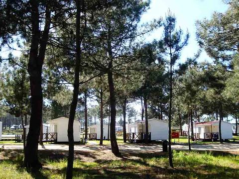 Camping Sitava Milfontes - Camping Alentejo - Image N°26