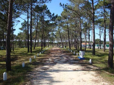 Camping Sitava Milfontes - Camping Alentejo - Image N°27