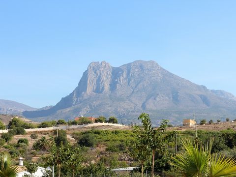 Camping Alicante Imperium  - Camping Alicante - Image N°13