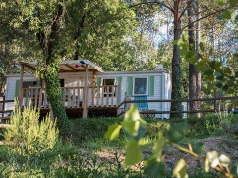 MOBILHOME 6 personnes - Familial