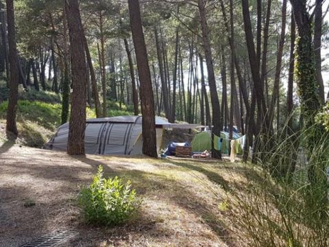 Emplacement - 80 m² Tente