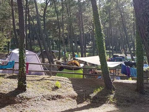 Emplacement - 80 m² Tente
