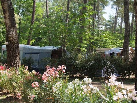 Emplacement - 100 m² Caravane