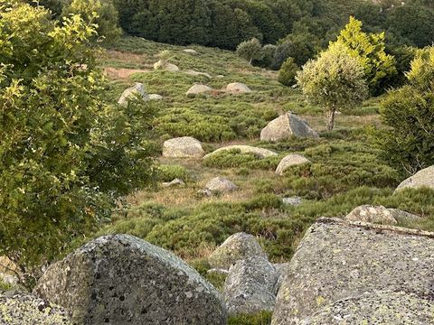 MOBILHOME 6 personnes - exclusif, climatisé, wifi, 3 chambres, 2 salles de bain, 6 personnes.