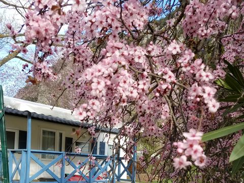 MOBILHOME 4 personnes - terrasse couverte