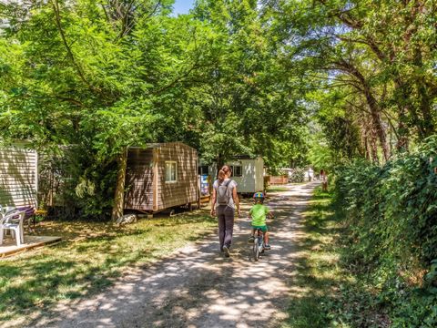 Camping Mas de Lastourg - Camping Pyrénées-Orientales - Image N°14